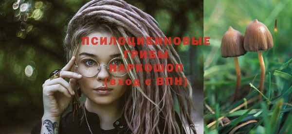 первитин Богородицк