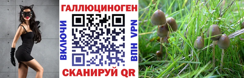 Псилоцибиновые грибы Psilocybe  Белоозёрский 